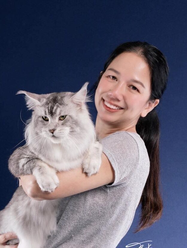 Silver Maine Coon cat with breeder from Tigercooncat, Premium Maine Coon Breeder Thailand